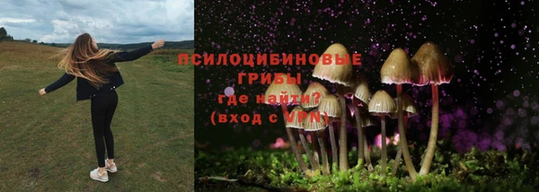 ECSTASY Беломорск
