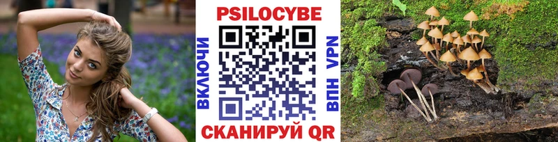 Псилоцибиновые грибы мухоморы блэк спрут ТОР Очёр